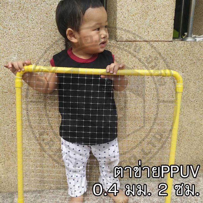ตาข่ายPP 003