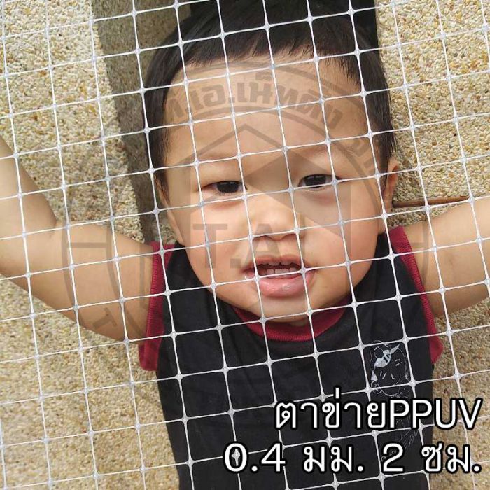 ตาข่ายPP 002