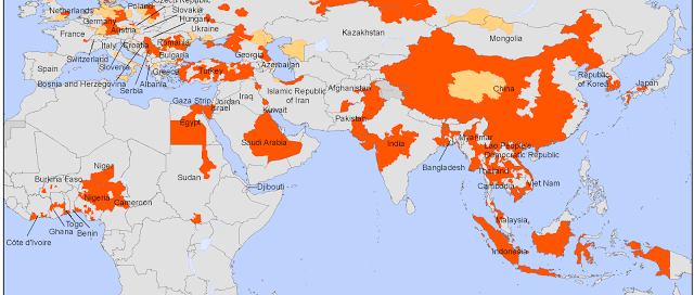 เหยื่อหวัดนกในจีน พุ่ง20 001