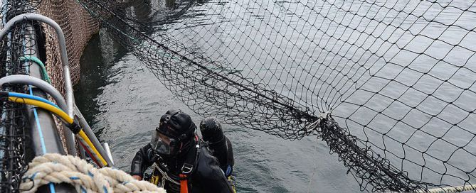 ซ่อมตาข่าย 006