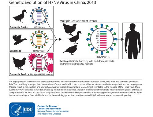 จาก H5N1 ถึง H7N9 อย่าทำเป็นเล่น