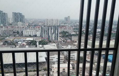 ตาข่ายกันนก37